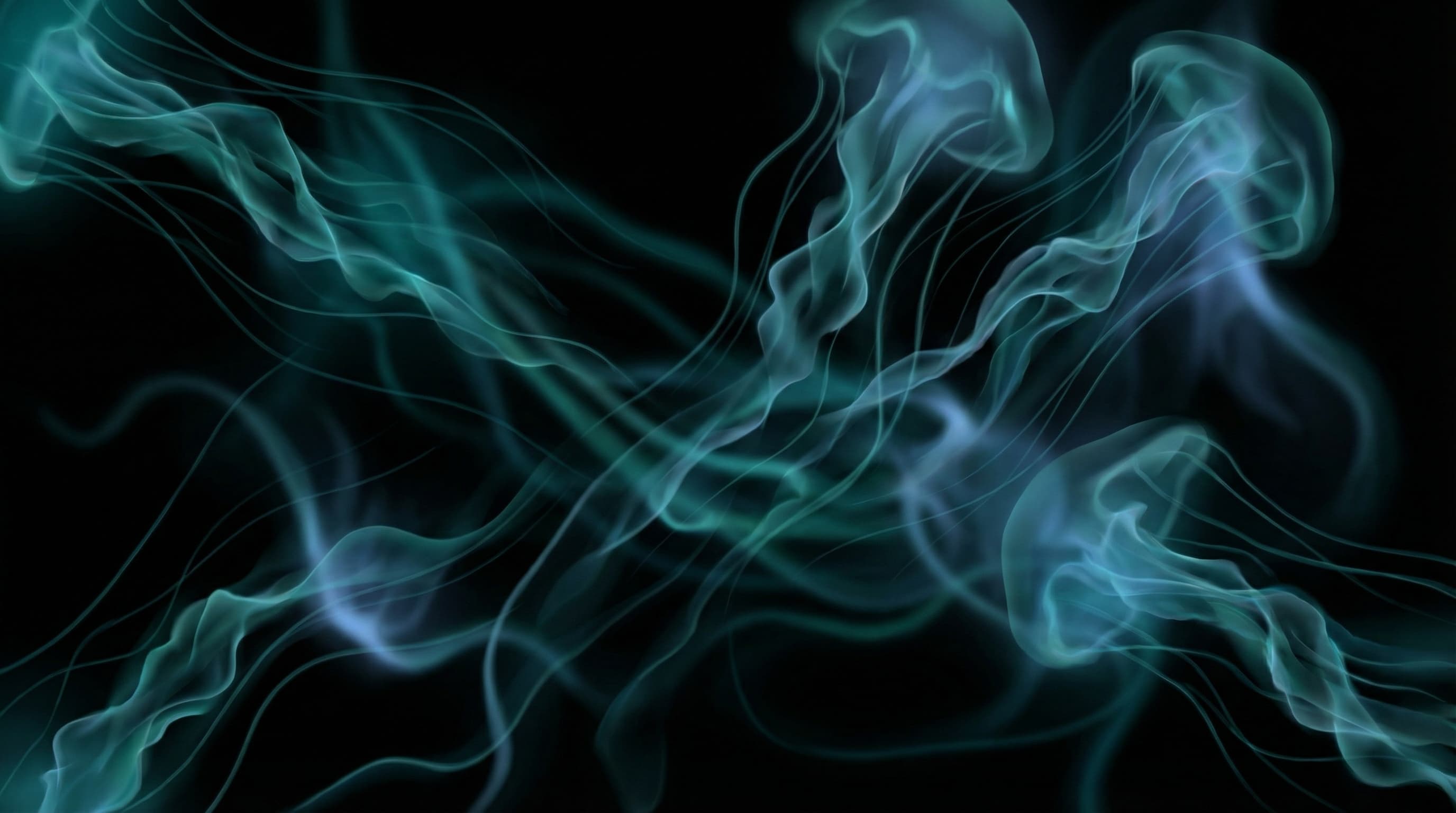 The State of UGC in Ecommerce: Why It Matters for DTC Brands